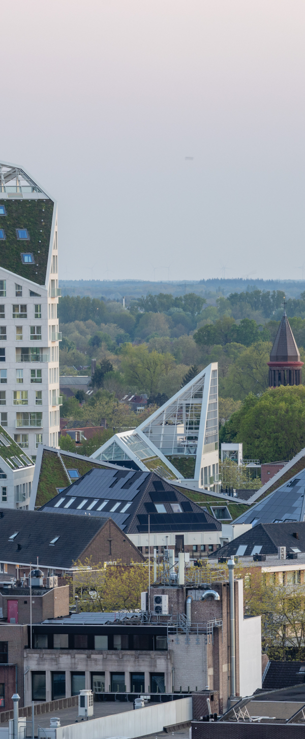 Nieuw Bergen