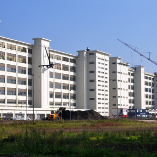 33162.jpg
