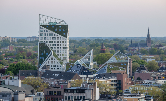 Nieuw Bergen
