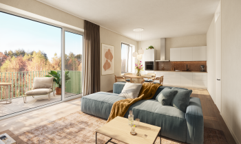 974 2024_11_27 P10_interieur type O.png