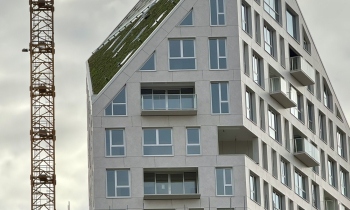 Nieuw Bergen