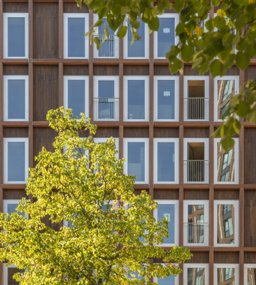 Matchbox Norbert van Onna