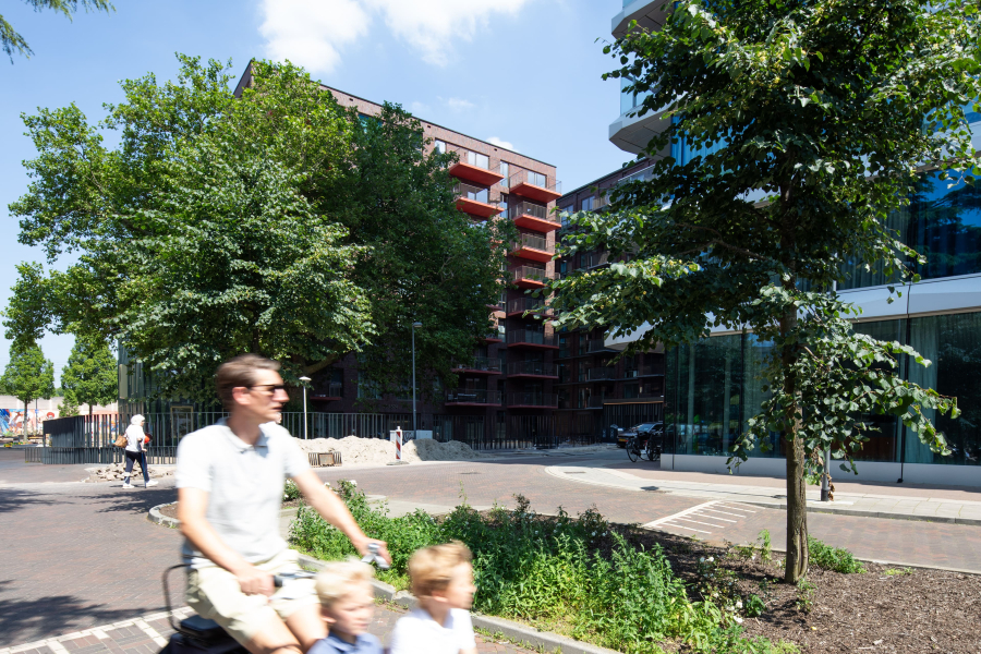 LEVS_GrootHartje4.jpg