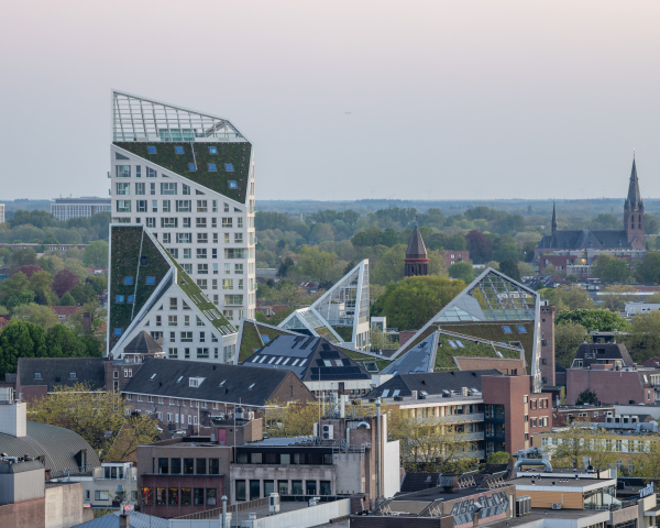 Nieuw Bergen