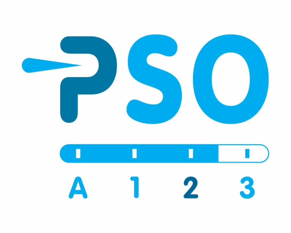 PSO 2.jpg