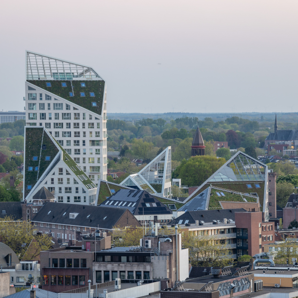 Nieuw Bergen