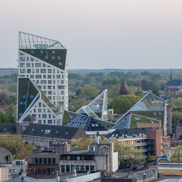Nieuw Bergen