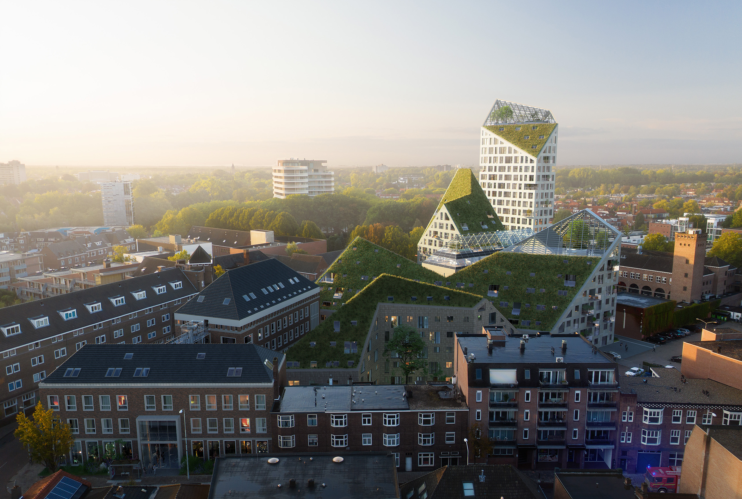 Nieuw Bergen