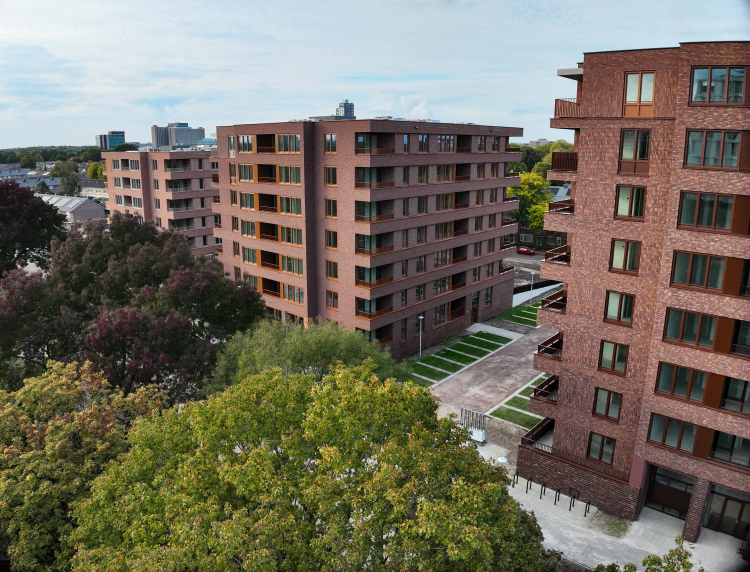 Avans bezoek Dibbetslaan